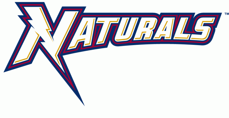 Northwest Arkansas Naturals 2008-Pres Wordmark Logo iron on transfers for T-shirts